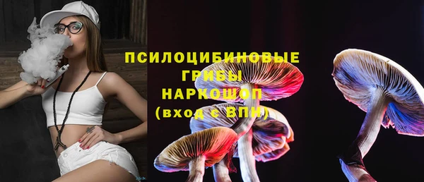 прущий лед Алексин