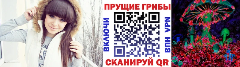ОМГ ОМГ tor  Славск  Галлюциногенные грибы Magic Shrooms 